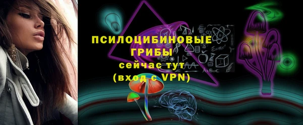 PSILOCYBIN Богородицк